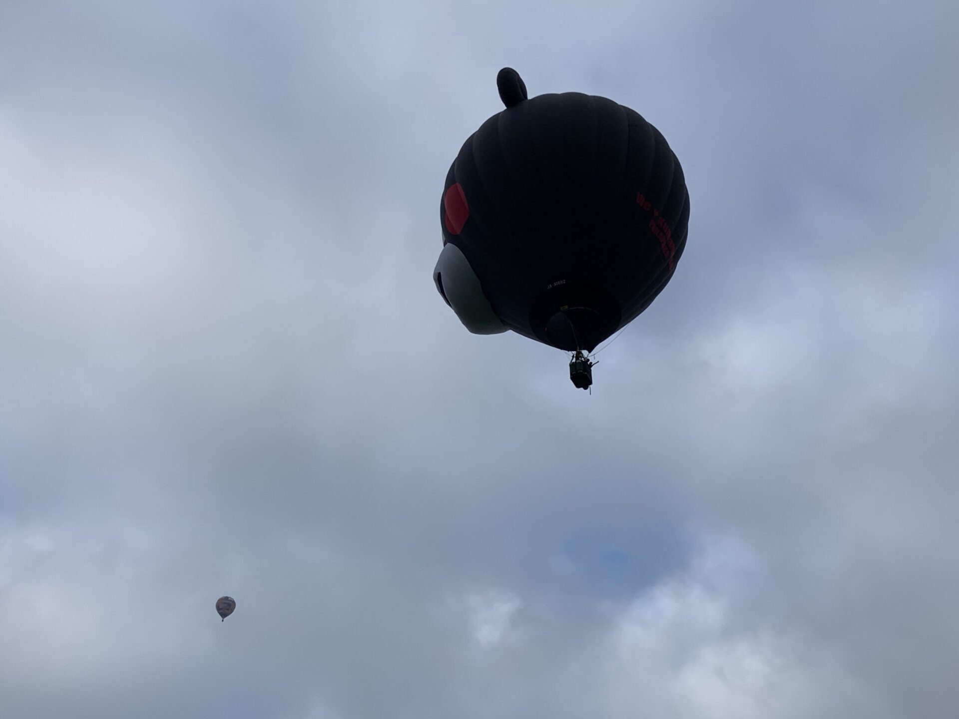【レビュー】一度は行くべき熱気球体験を紹介！プレゼントにも100点満点！！